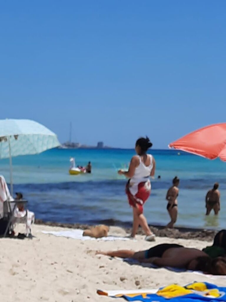 Imagen de galería 1044