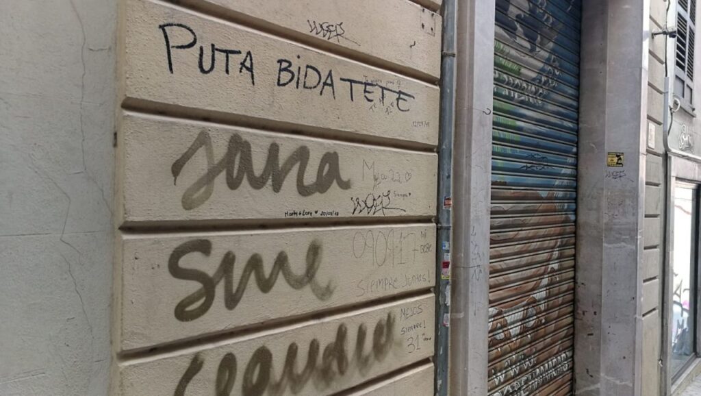 Imagen de galería 575