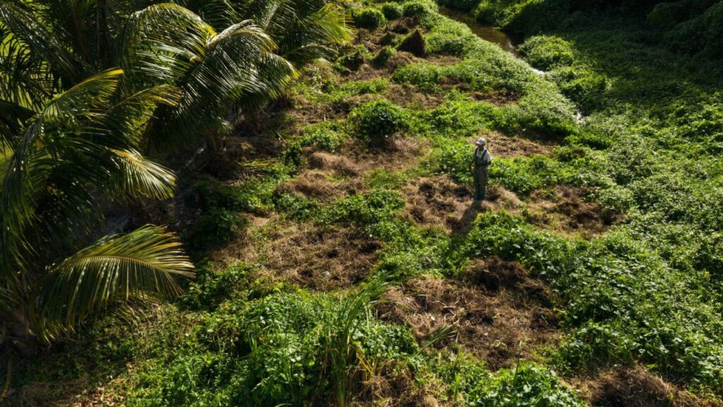 Imagen de galer&iacute;a 1680