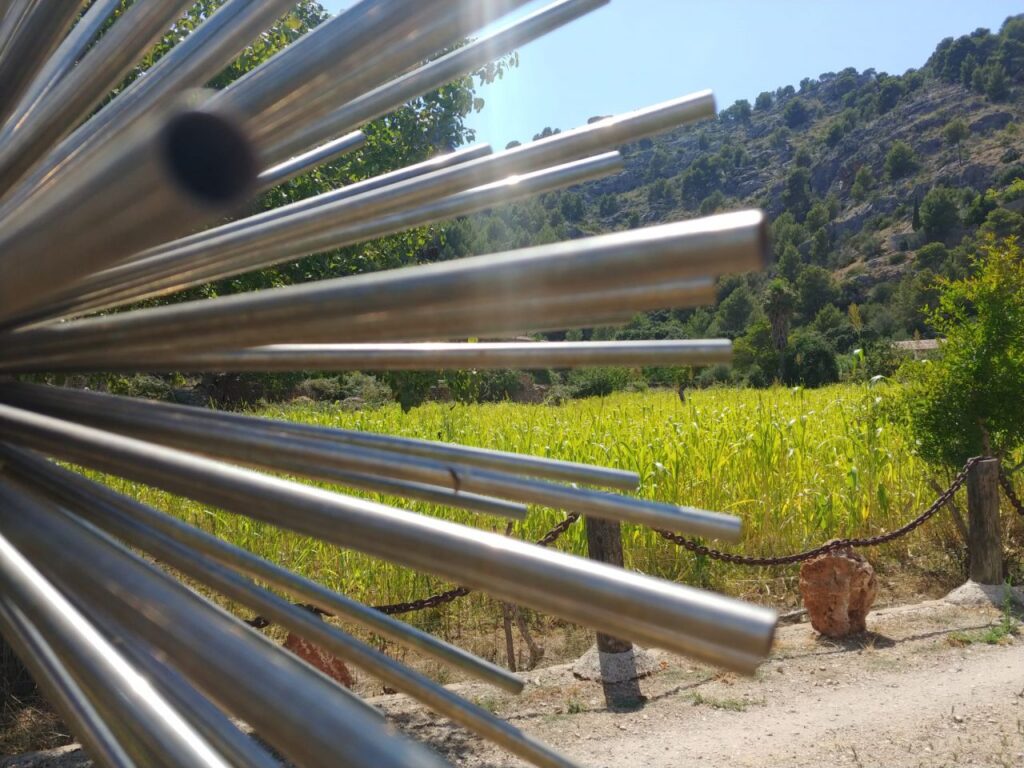 Imagen de galer&iacute;a 890