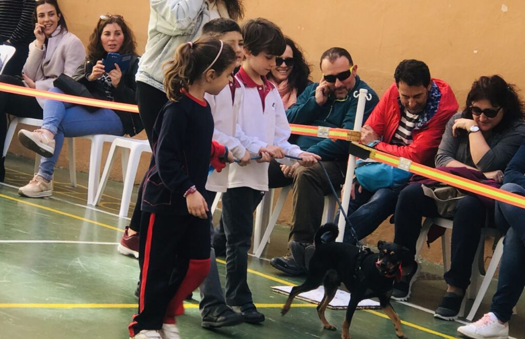 Imagen de galería 501