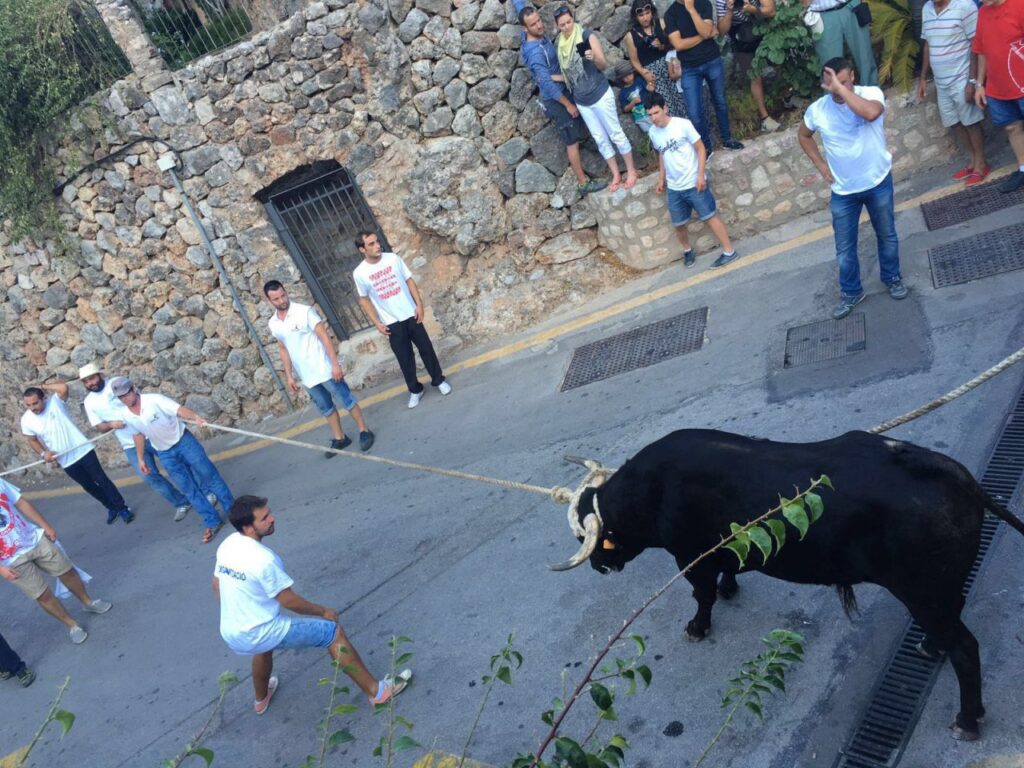 Imagen de galería 69