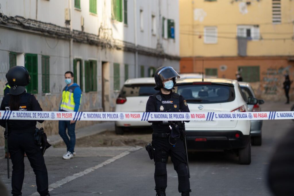 Imagen de galería 963