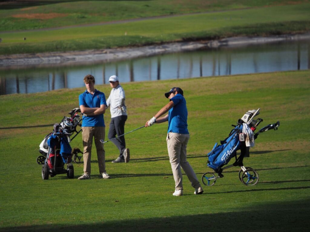 Imagen de galer&iacute;a 1216