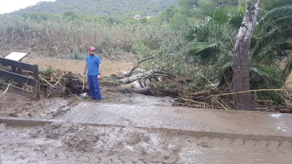 Imagen de galer&iacute;a 351