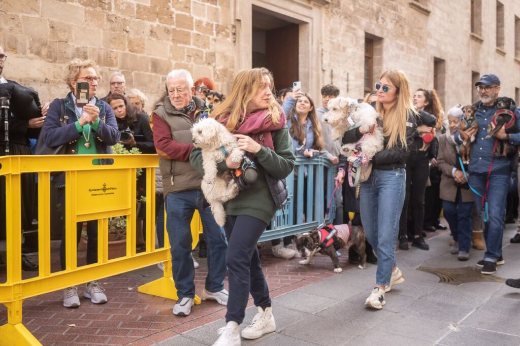 Imagen de galería 1625