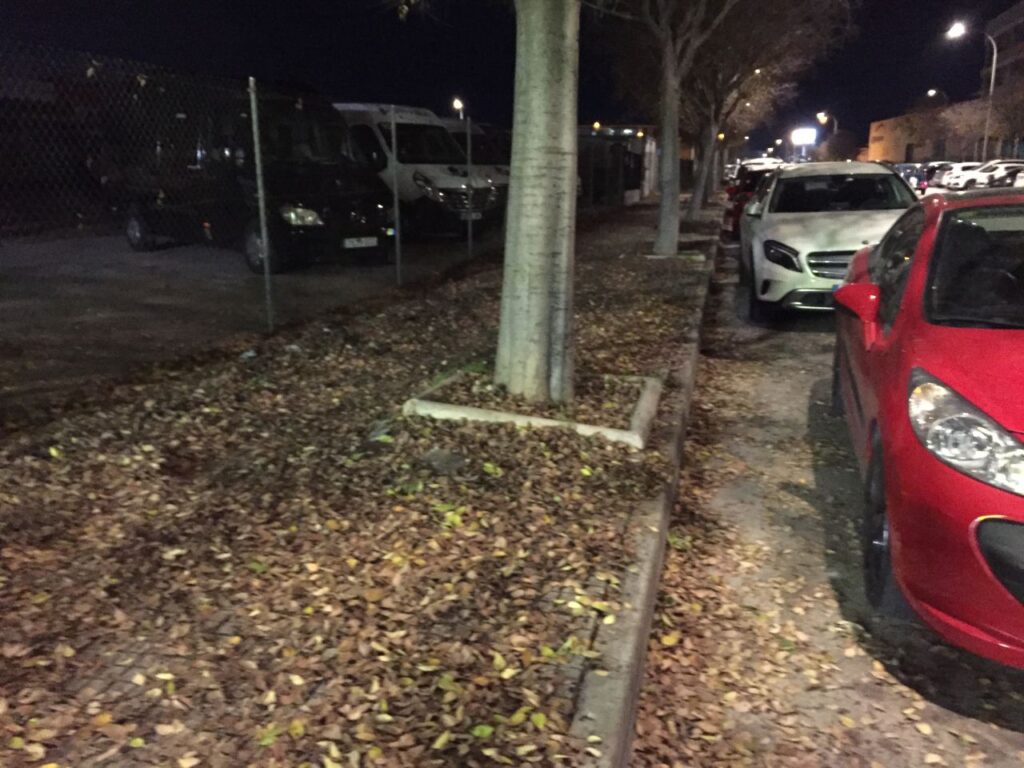 Imagen de galería 98