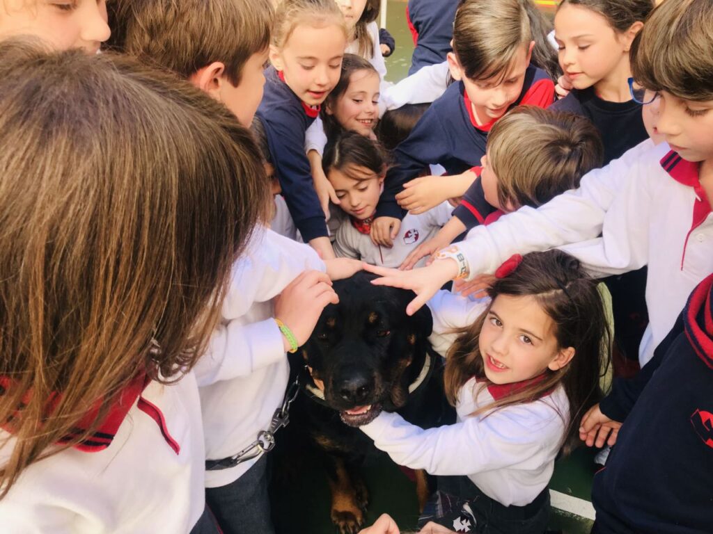 Imagen de galería 501