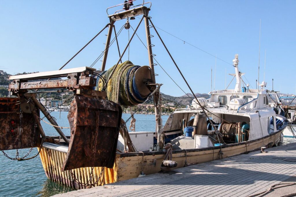 Imagen de galería 1415