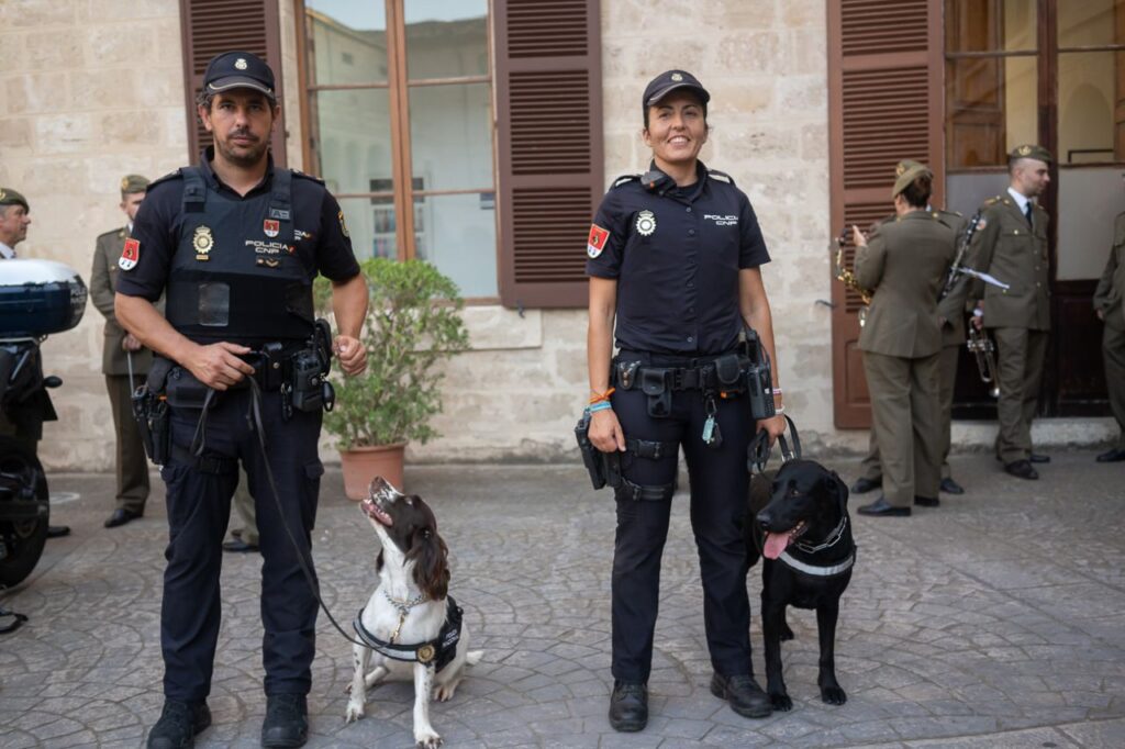 Imagen de galería 1126