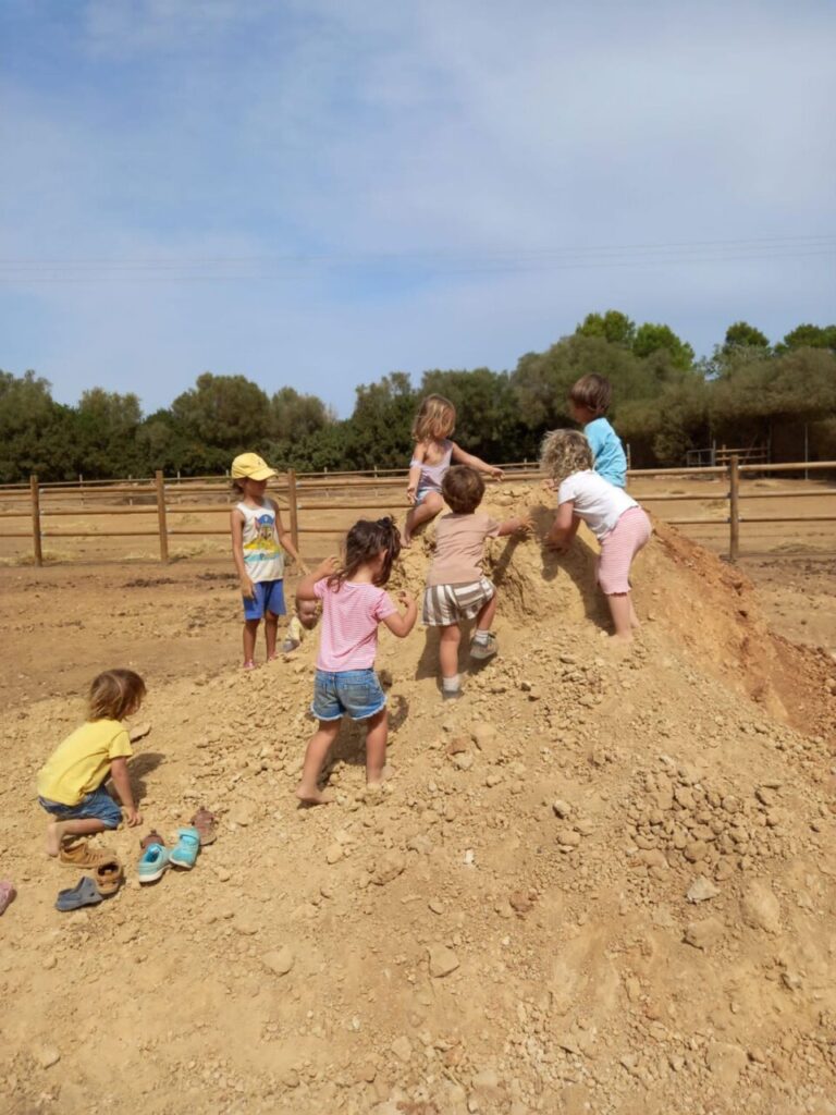 Imagen de galería 1389