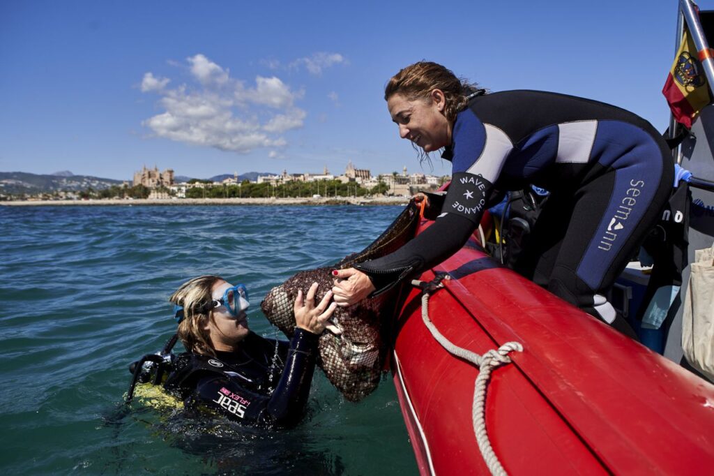 Imagen de galería 625