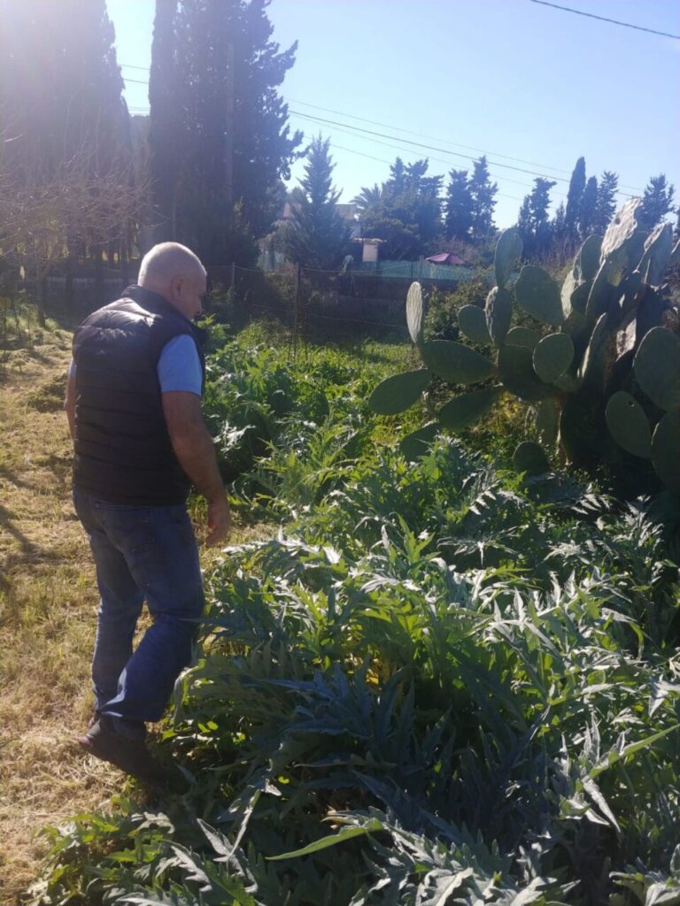 Imagen de galería 966