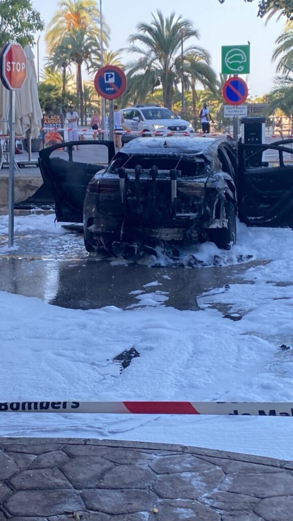 Imagen de galer&iacute;a 1477