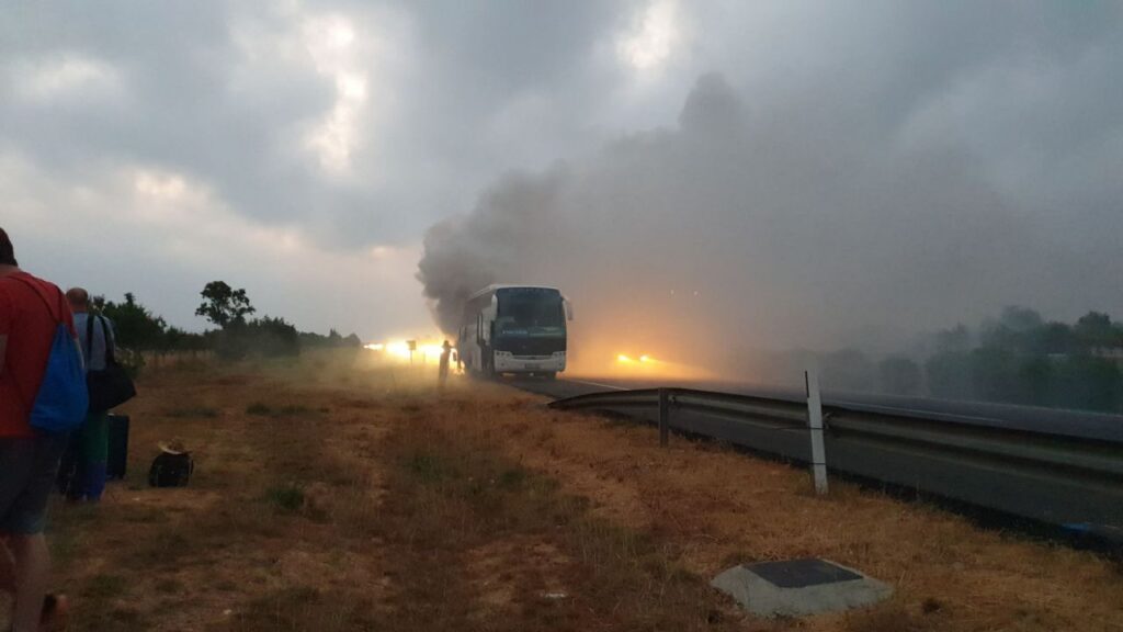 Imagen de galería 571