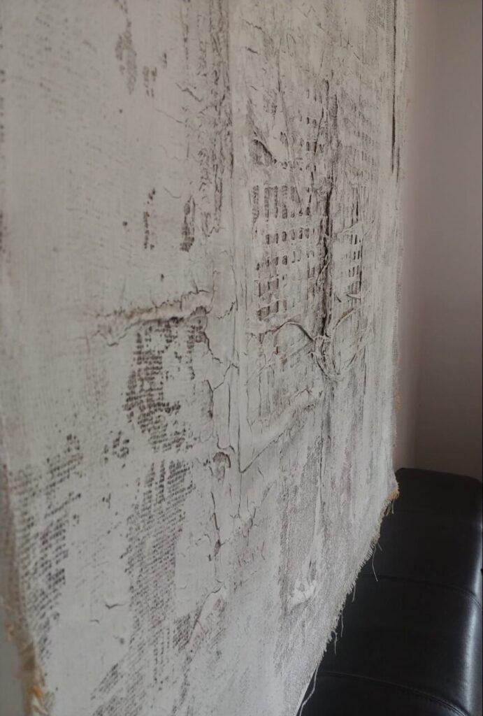 Imagen de galería 1200