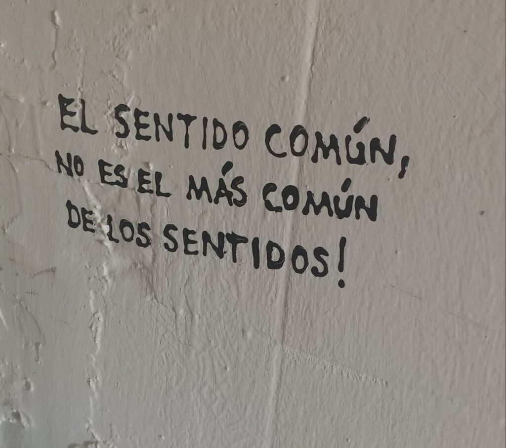 Imagen de galería 972