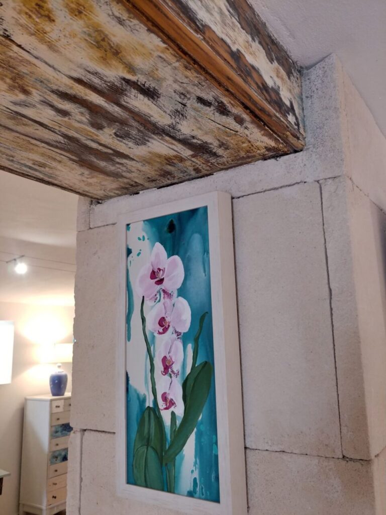 Imagen de galería 930