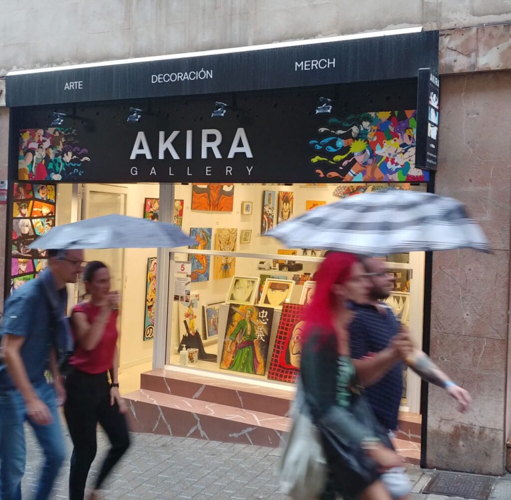 Imagen de galería 919