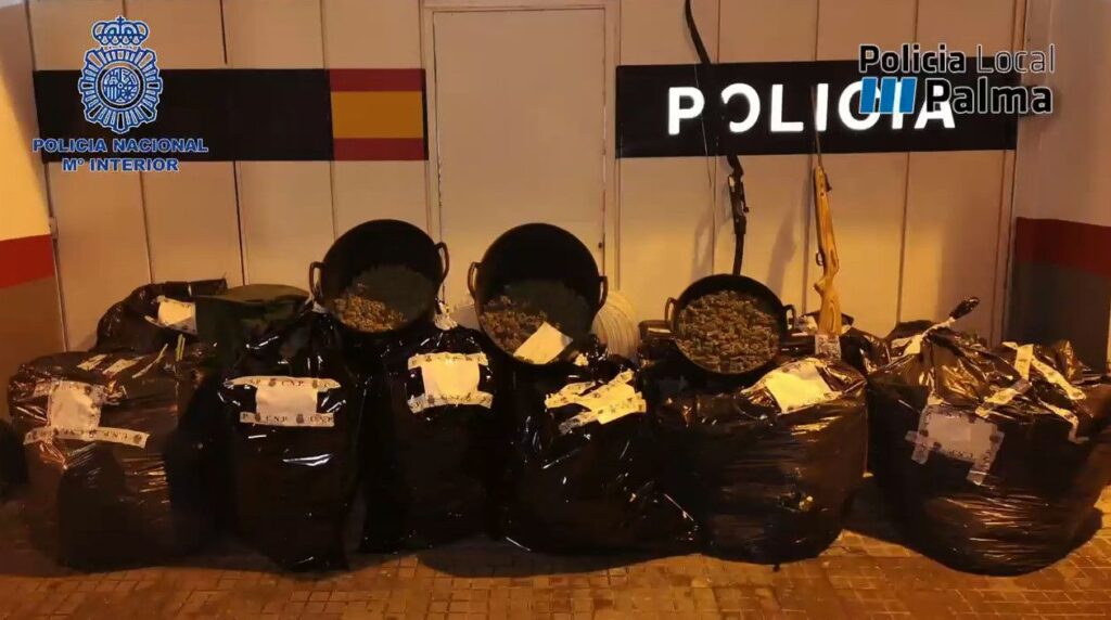 Imagen de galer&iacute;a 647