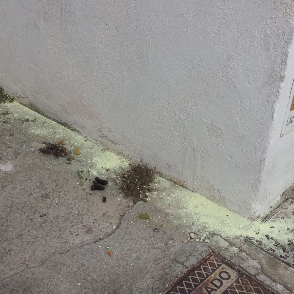 Imagen de galer&iacute;a 13