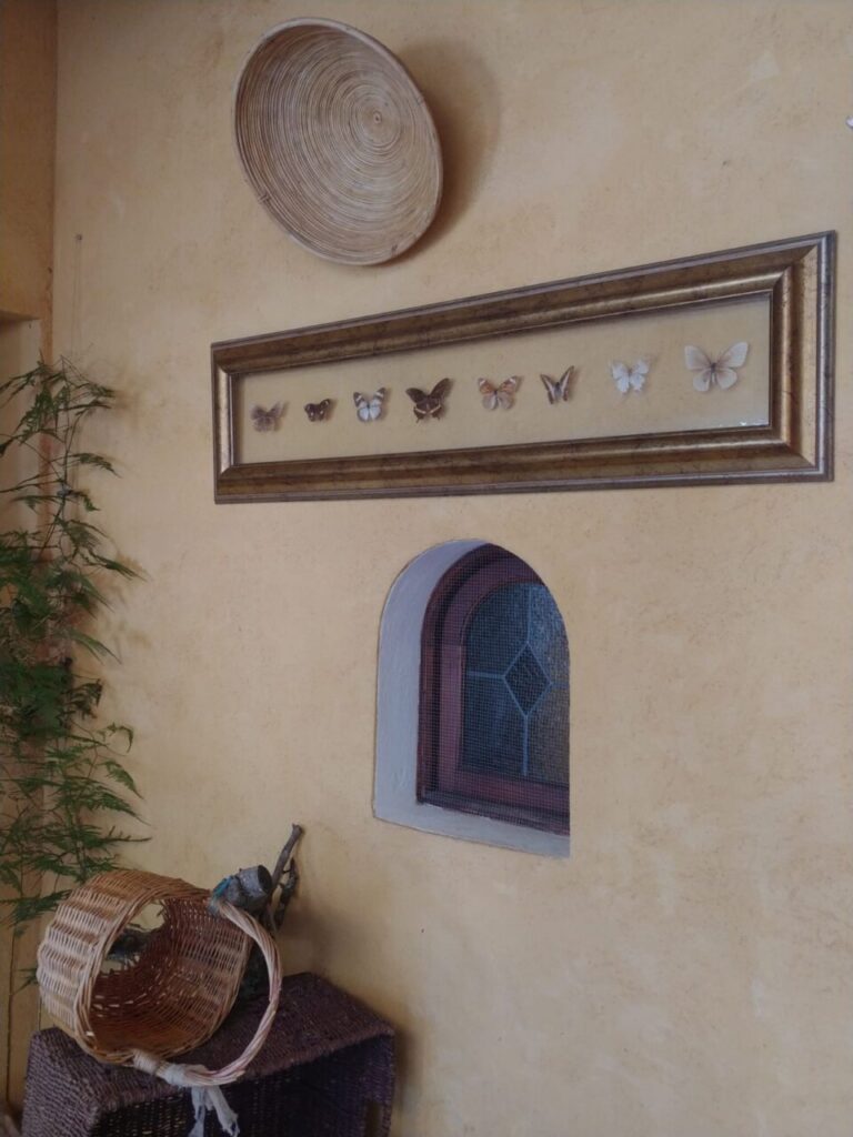 Imagen de galería 1086