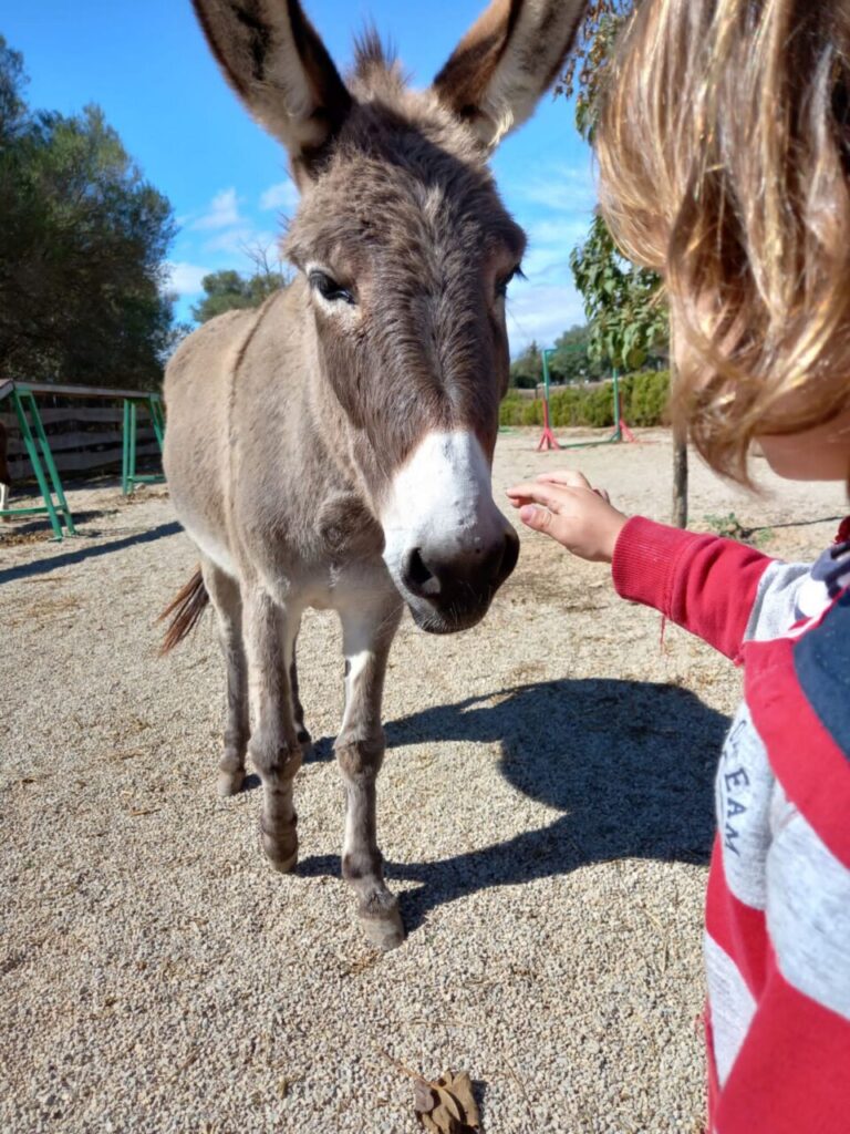 Imagen de galería 1389