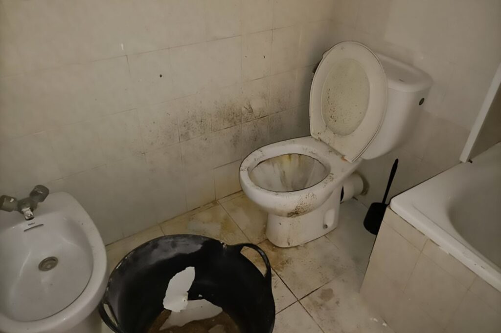 Imagen de galer&iacute;a 1353