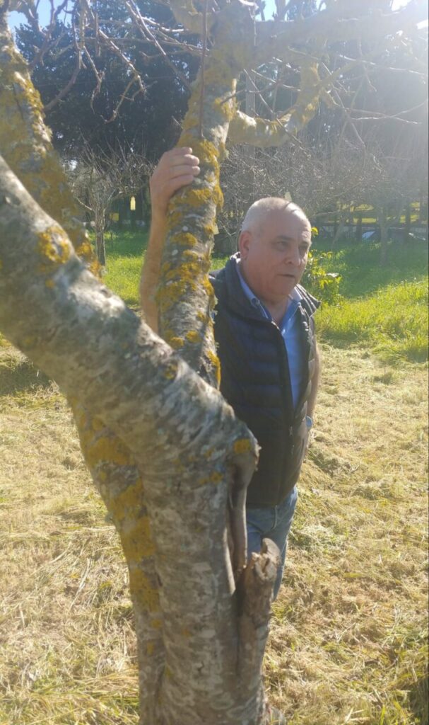 Imagen de galería 966