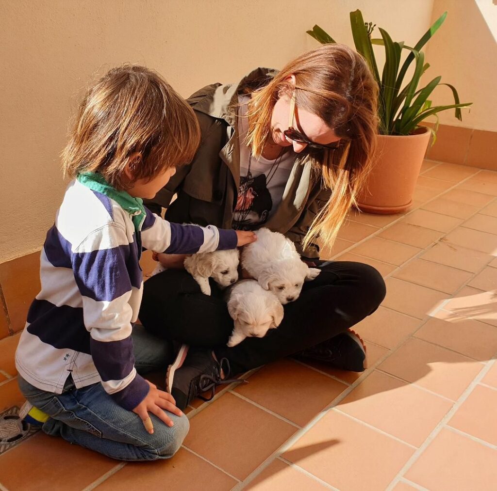 Imagen de galer&iacute;a 512