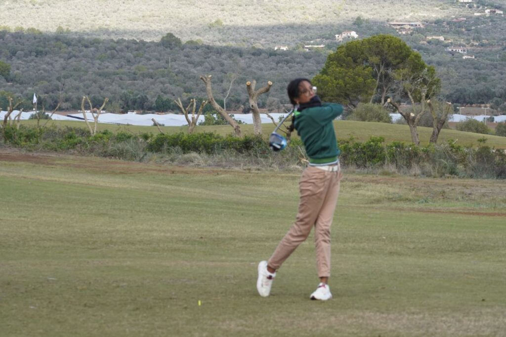 Imagen de galería 1195