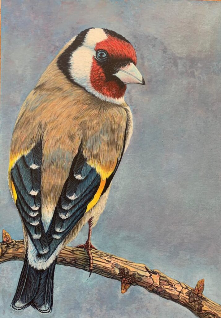 Imagen de galería 1588