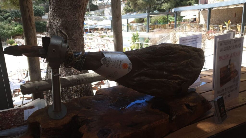 Imagen de galer&iacute;a 514