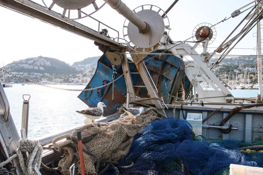 Imagen de galería 1415