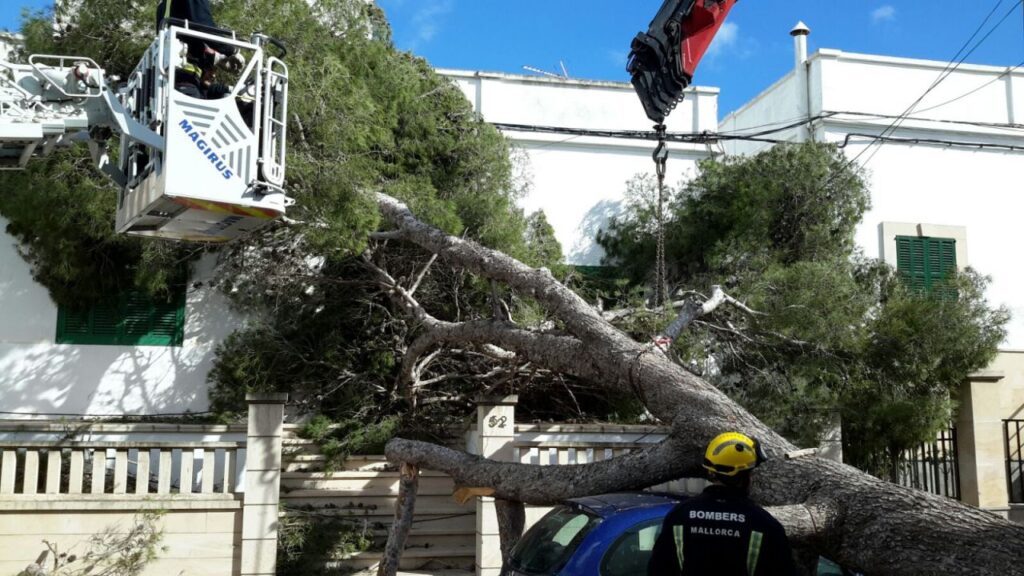 Imagen de galer&iacute;a 111