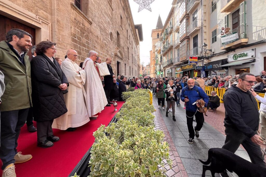 Imagen de galería 1625