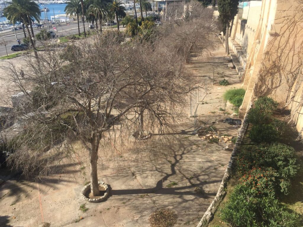 Imagen de galer&iacute;a 688