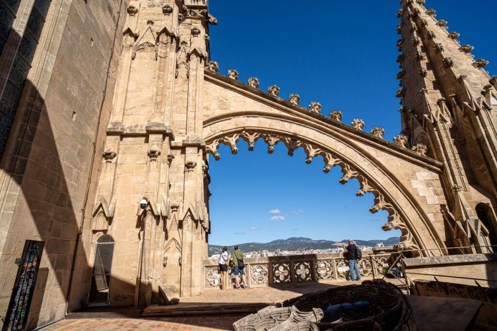 Imagen de galer&iacute;a 1766