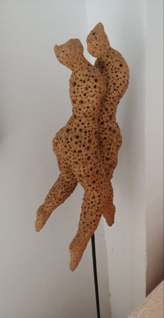 Imagen de galer&iacute;a 1228