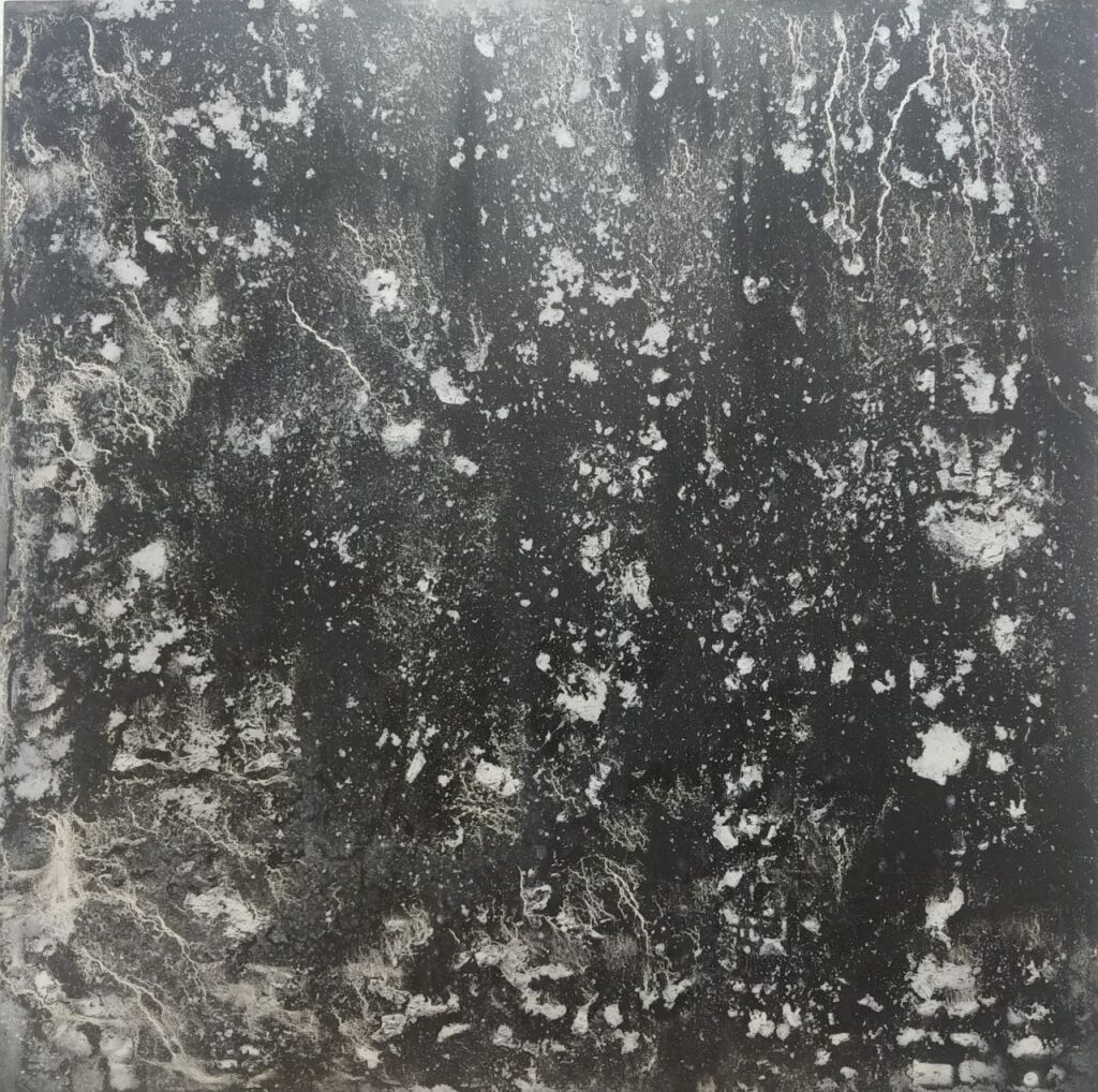 Imagen de galer&iacute;a 1277