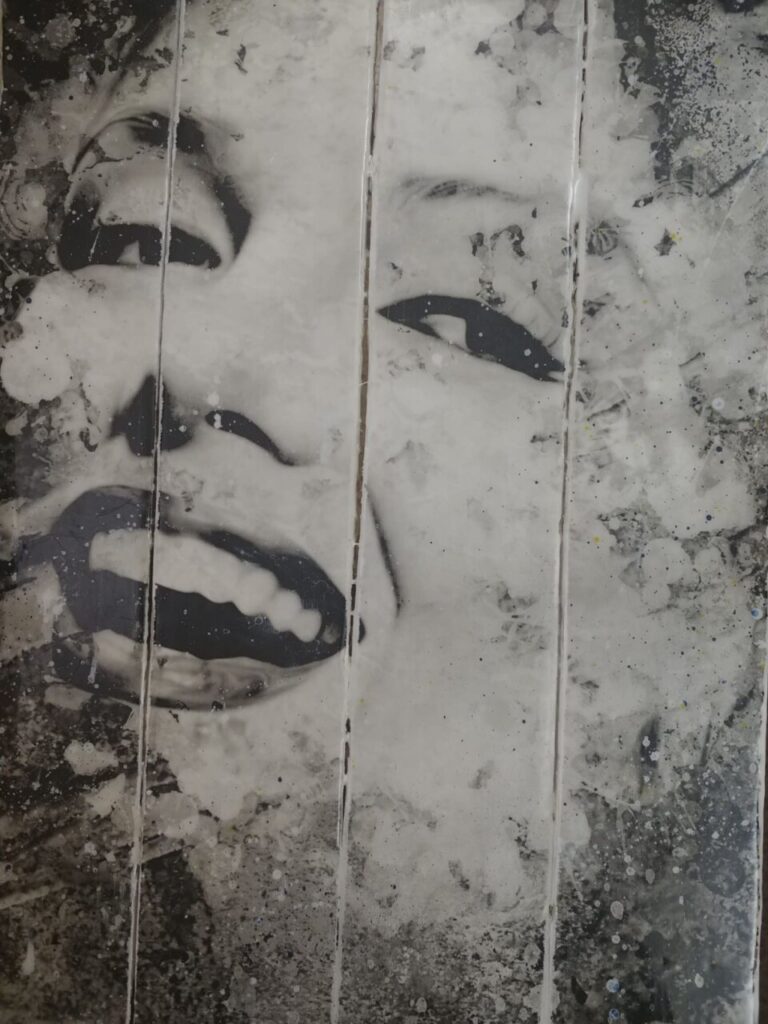 Imagen de galería 997