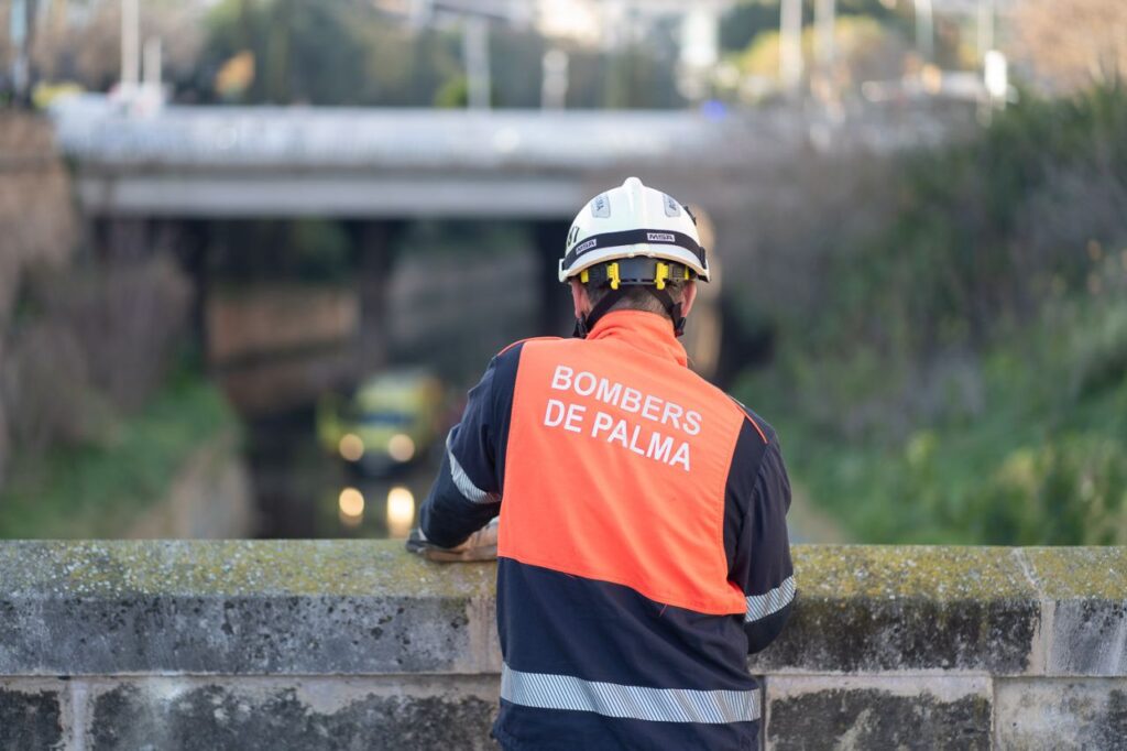 Imagen de galería 1650