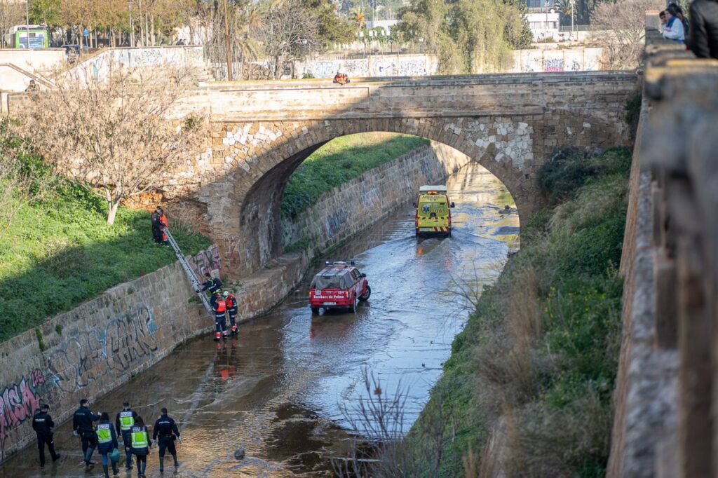 Imagen de galería 1650