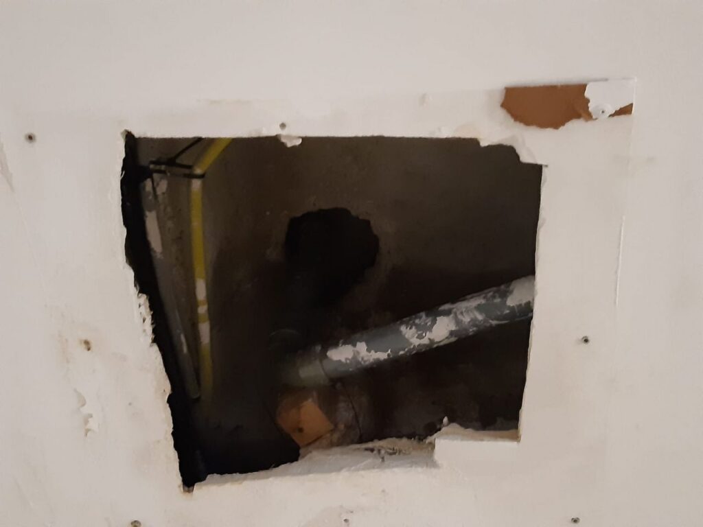 Imagen de galería 776