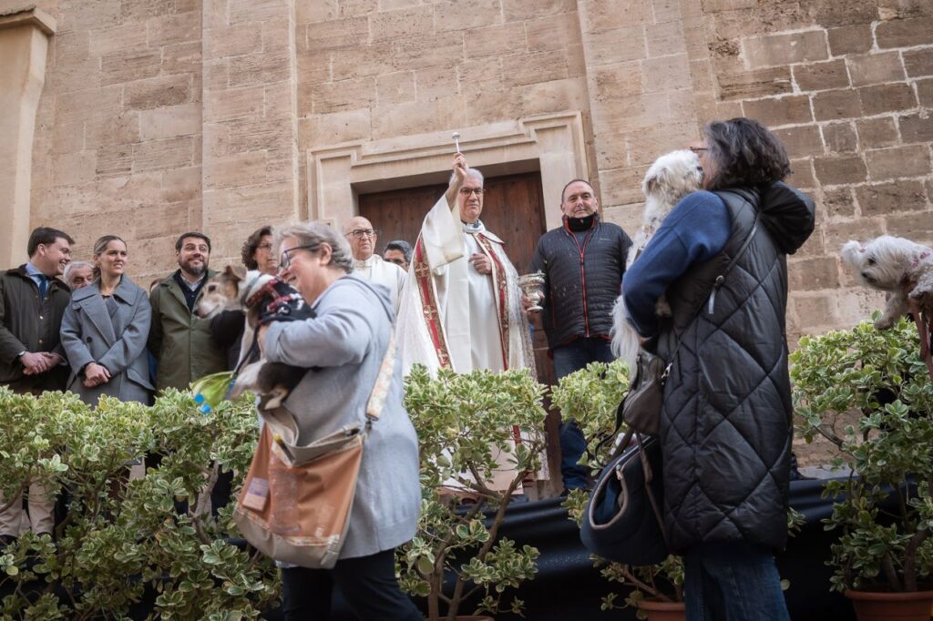 Imagen de galería 1625