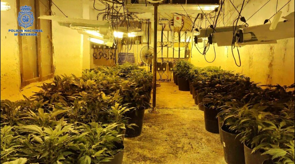 Imagen de galería 1374