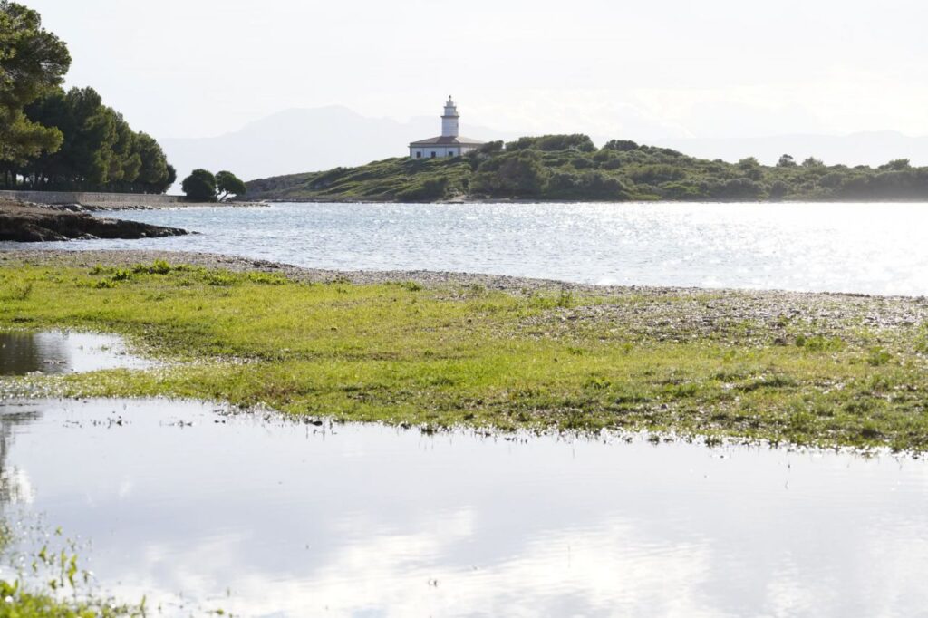 Imagen de galería 1170