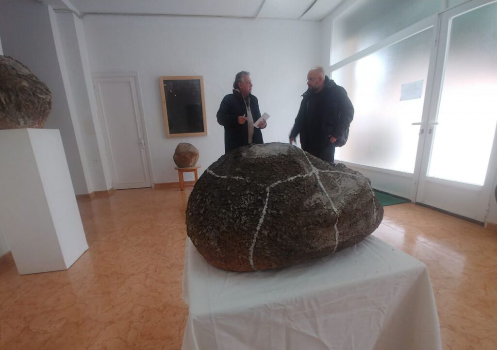 Imagen de galer&iacute;a 1277