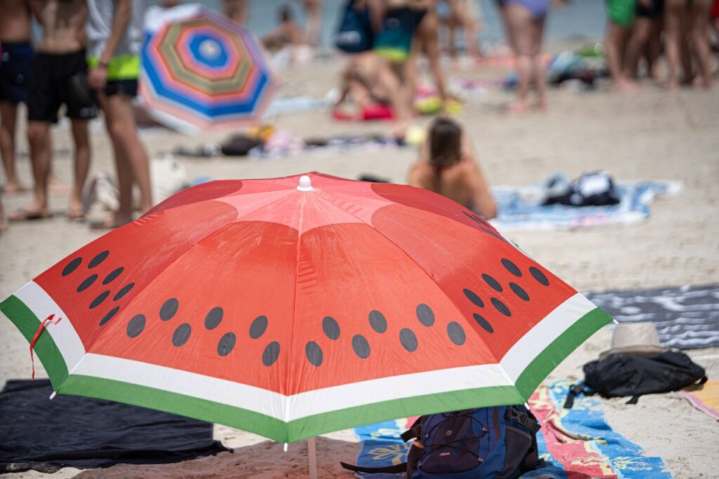 Imagen de galer&iacute;a 1042