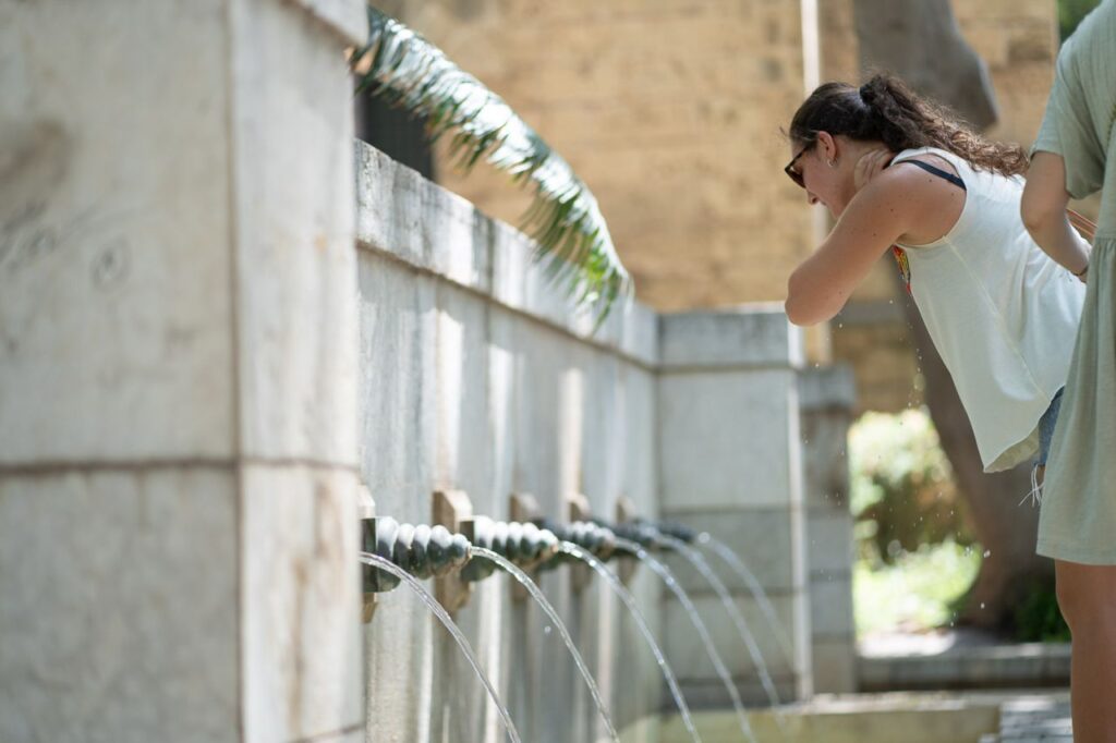 Imagen de galería 1460